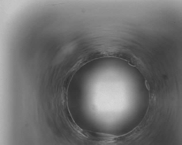 X0000080101012200612221733