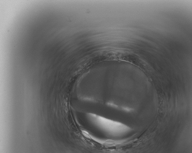 X0000080101013200612221733