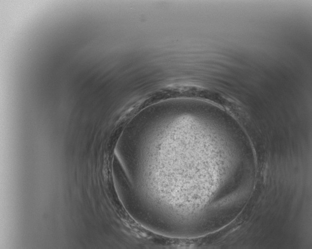 X0000080101014200612221733