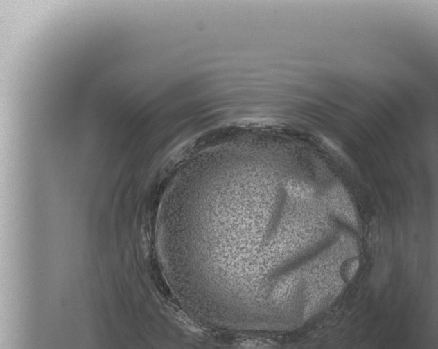 X0000080101015200612221733