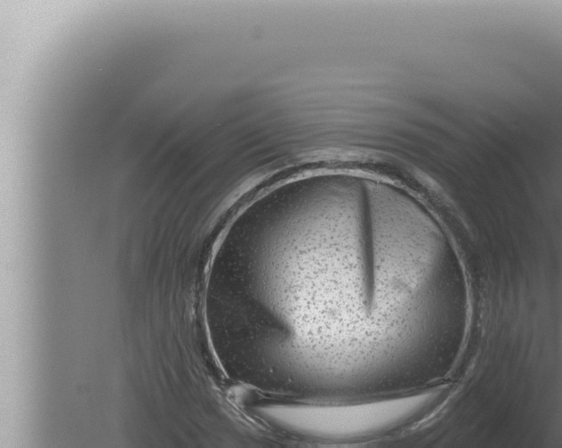 X0000080101017200612221733