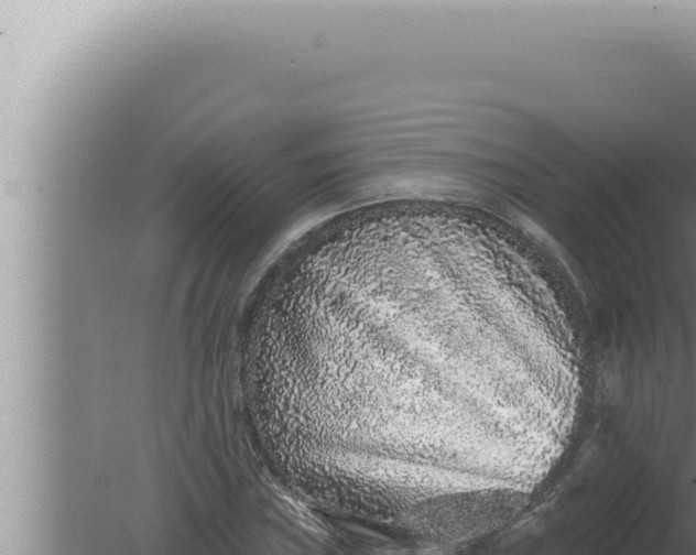 X0000080101019200612221733