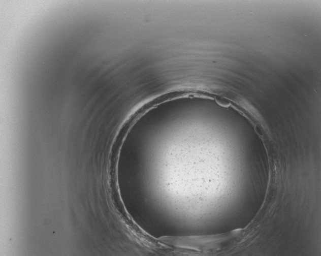 X0000080101020200612221733