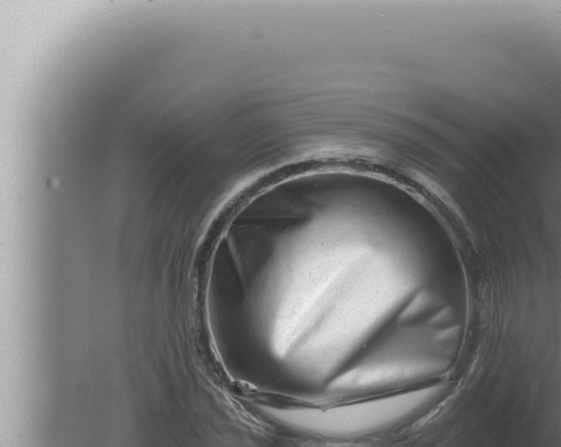 X0000080101021200612221733