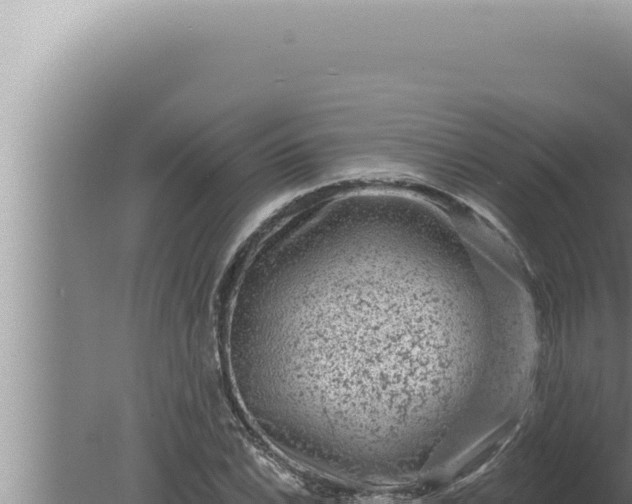 X0000080101022200612221733