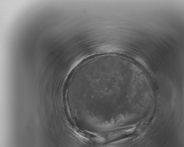 X0000080101023200612221733