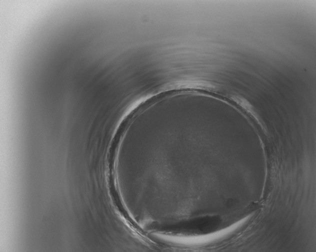 X0000080101024200612221733