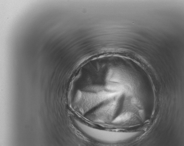 X0000080101025200612221733