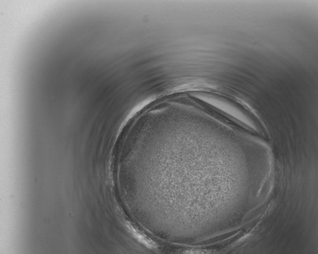 X0000080101026200612221733