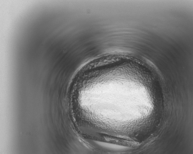 X0000080101027200612221733