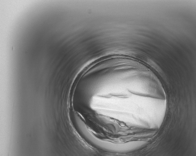 X0000080101028200612221733