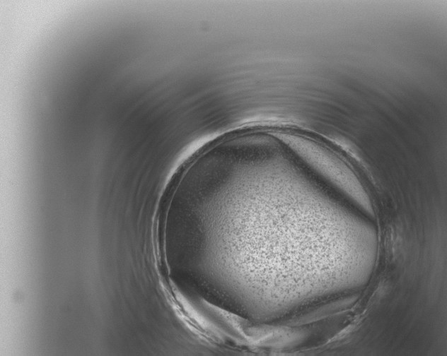 X0000080101030200612221733