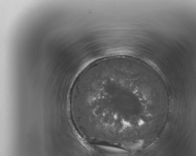 X0000080101031200612221733