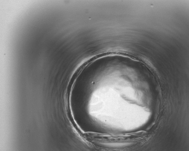 X0000080101032200612221733