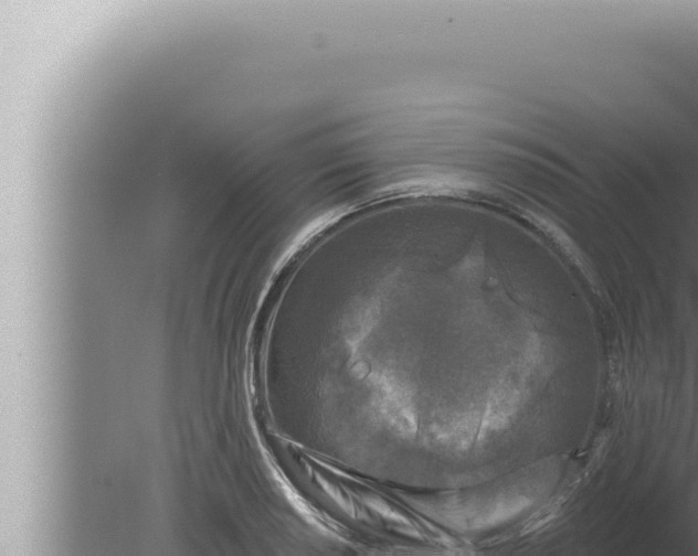 X0000080101034200612221733