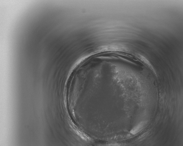 X0000080101035200612221733