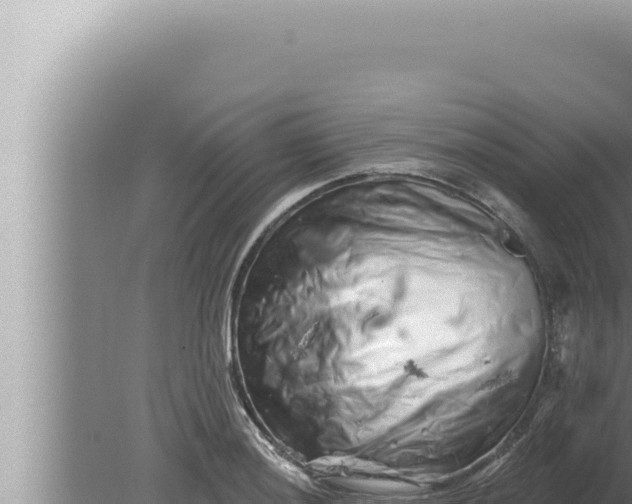 X0000080101036200612221733