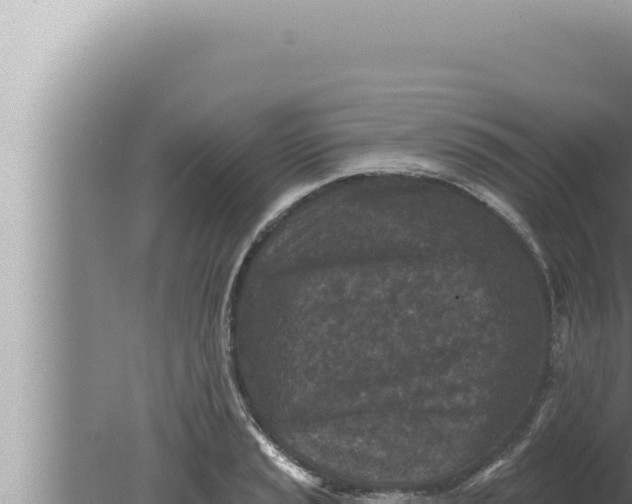 X0000080101037200612221733