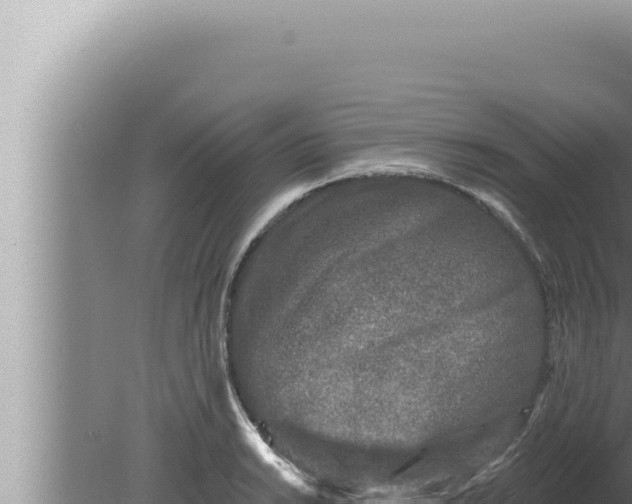 X0000080101038200612221733