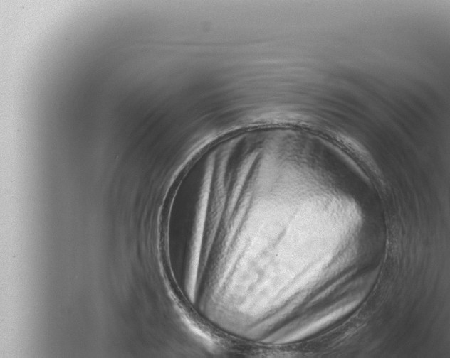 X0000080101039200612221733