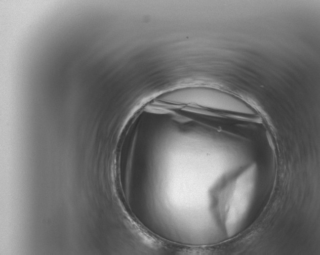 X0000080101040200612221733