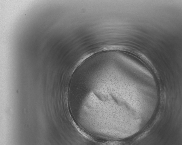 X0000080101041200612221733