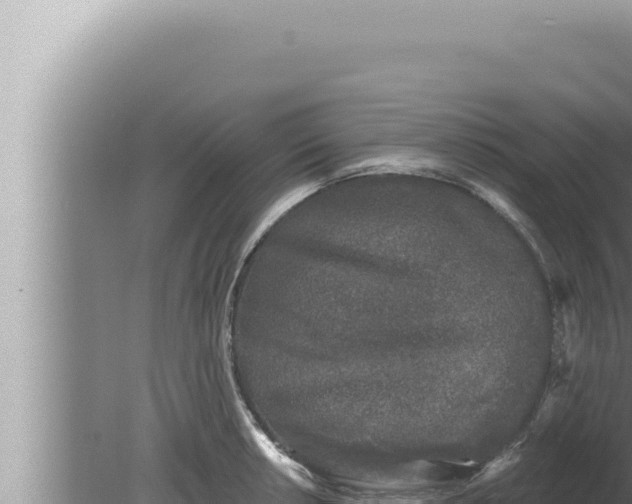 X0000080101042200612221733