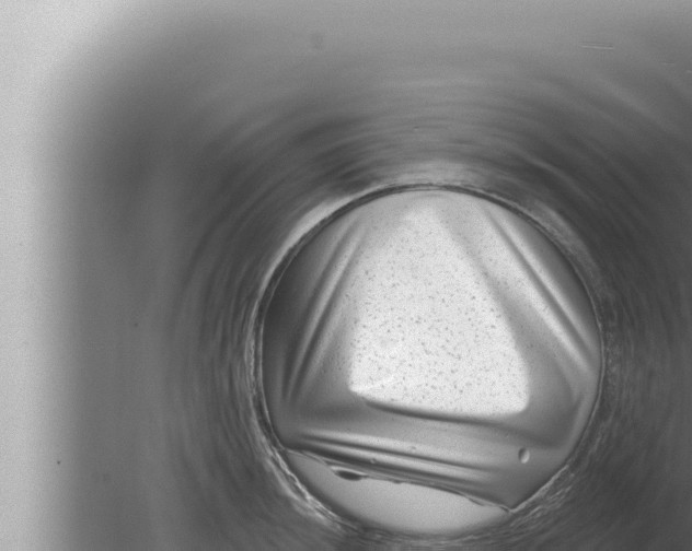 X0000080101044200612221733