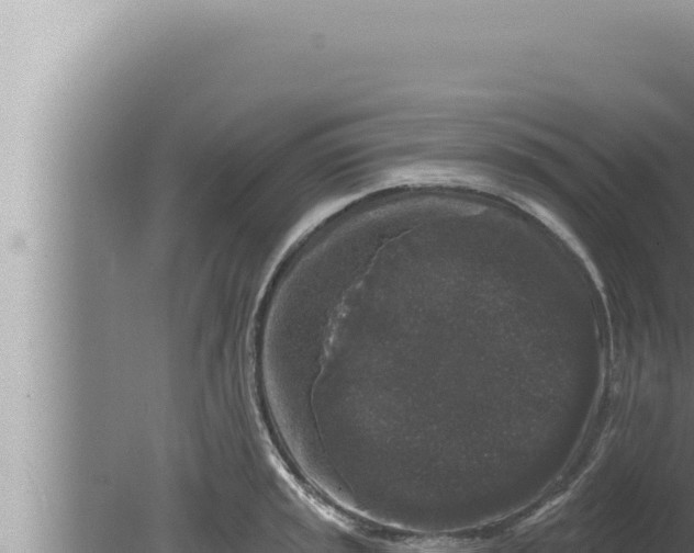 X0000080101045200612221733