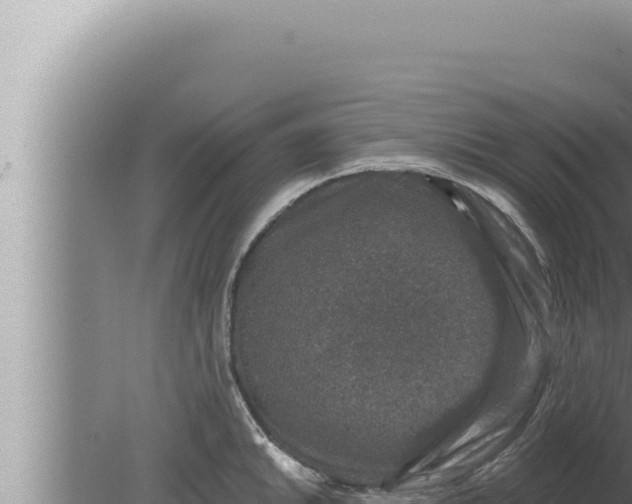 X0000080101046200612221733