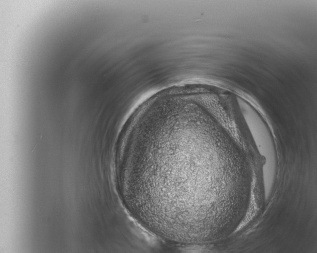 X0000080101048200612221733