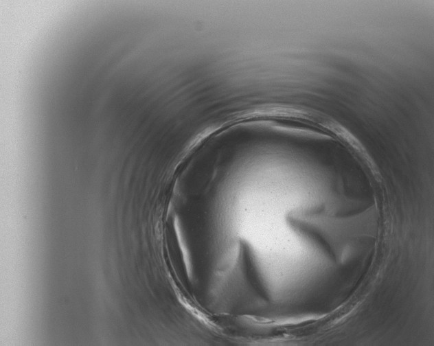 X0000080101049200612221733