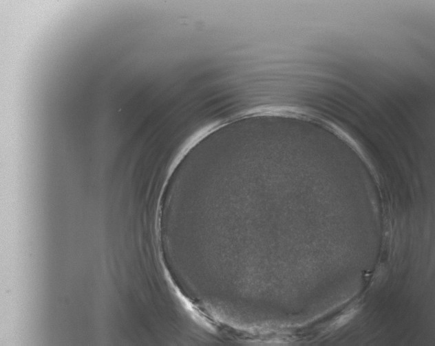 X0000080101050200612221733