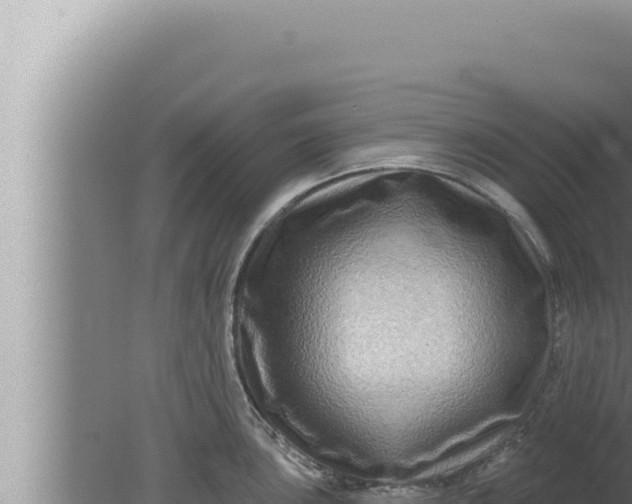 X0000080101051200612221734