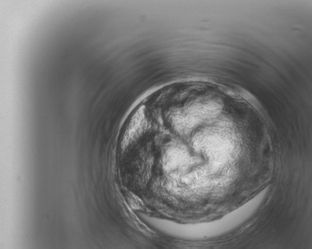 X0000080101052200612221734