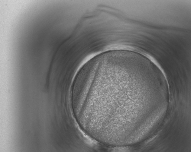 X0000080101053200612221734