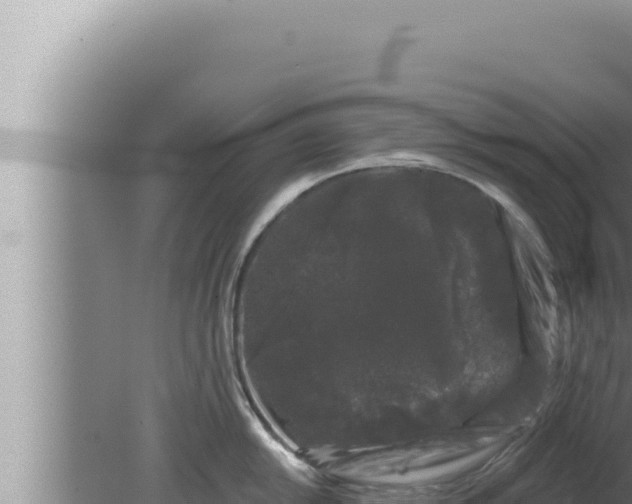 X0000080101054200612221734