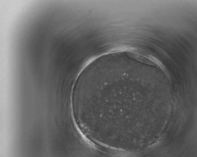 X0000080101055200612221734