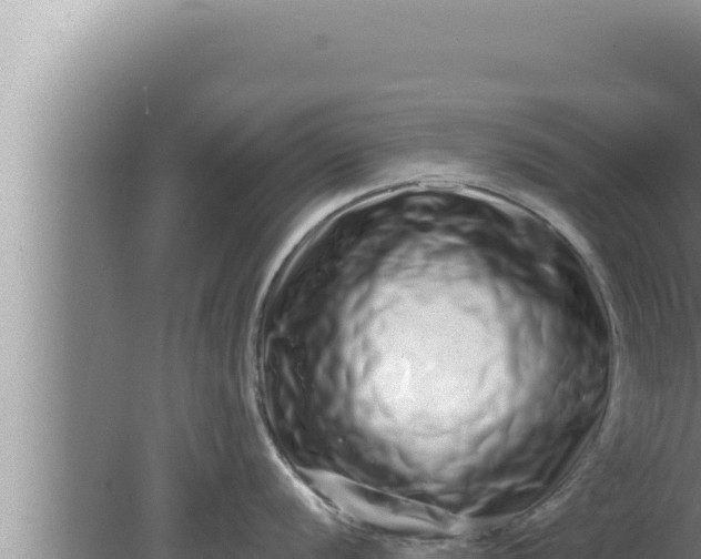 X0000080101056200612221734