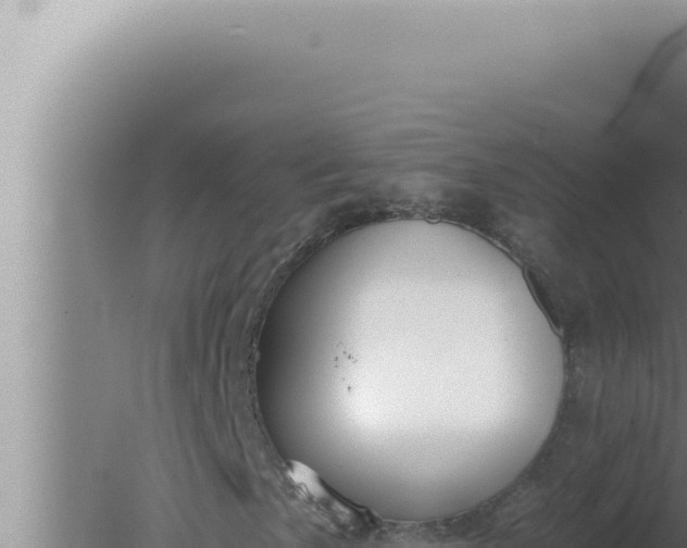 X0000080101057200612221733