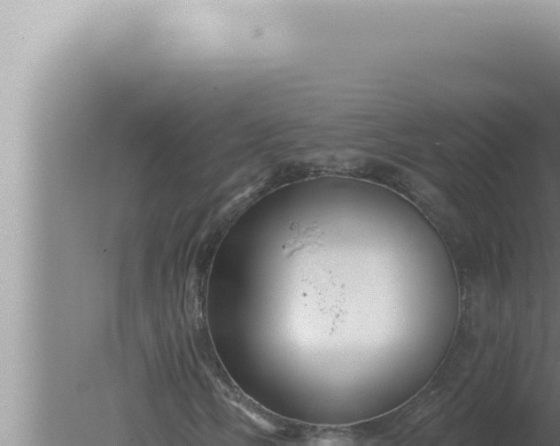 X0000080101058200612221733