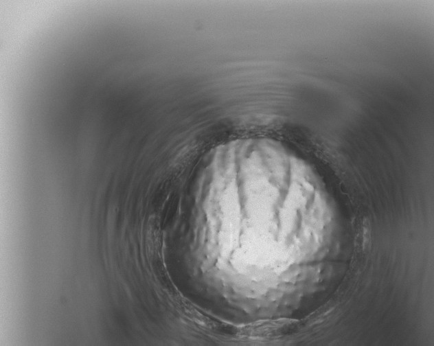 X0000080101059200612221733