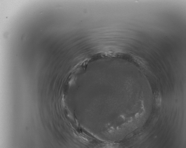 X0000080101060200612221733