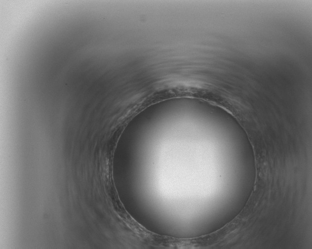 X0000080101061200612221733