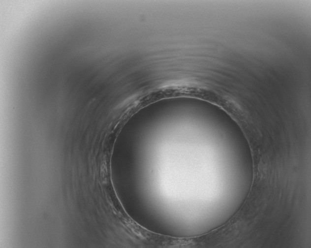 X0000080101062200612221733