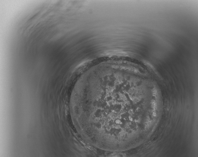 X0000080101063200612221733