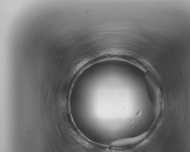 X0000080101065200612221733