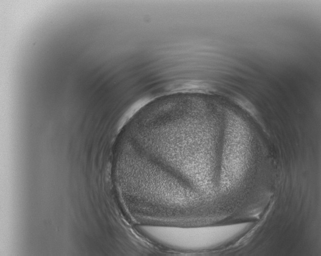 X0000080101066200612221733