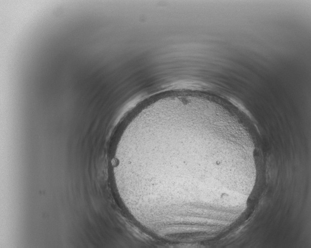 X0000080101067200612221733