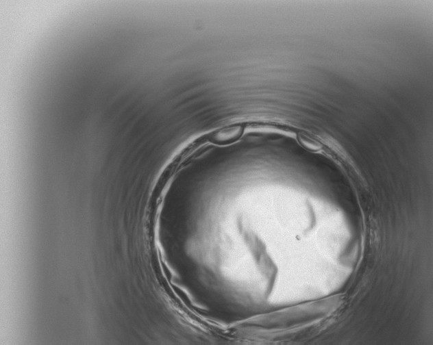 X0000080101068200612221733